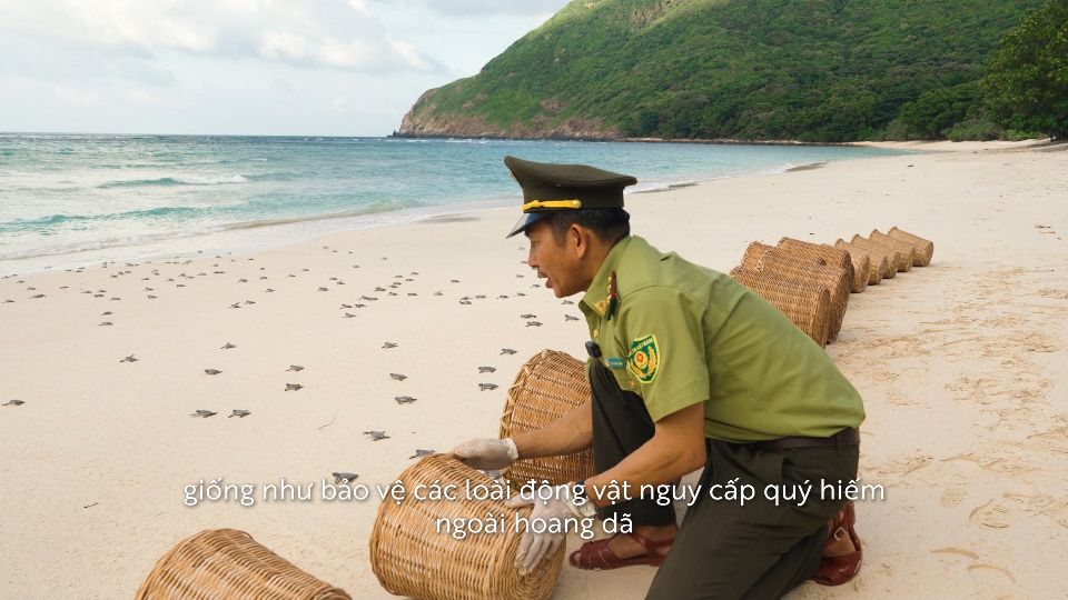 Corporate social responsibility (CSR) & brand storytelling